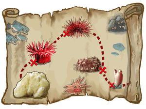 map used by the snail in A SNAIL'S ODYSSEY